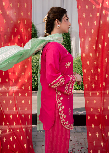Rani Aura – Embroidered Premium Lawn Two-Piece