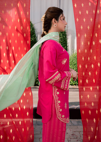 Rani Aura – Embroidered Premium Lawn Two-Piece