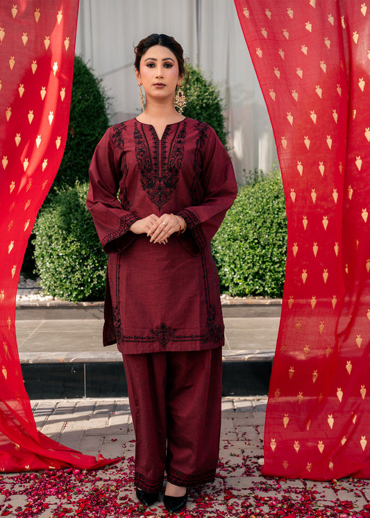 Mehrun Noir – Embroidered Two-Tone Two-Piece