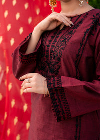 Mehrun Noir – Embroidered Two-Tone Two-Piece