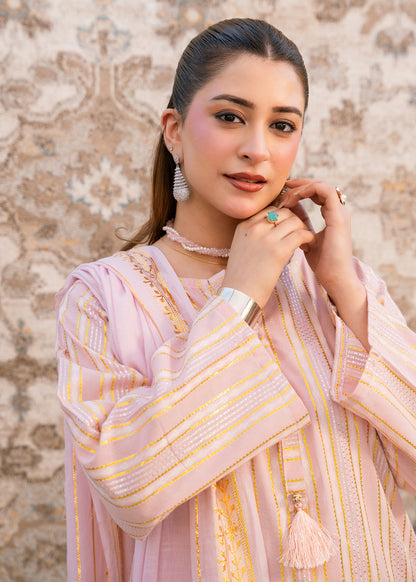 Blush Noor – Striped Jacquard Three-Piece