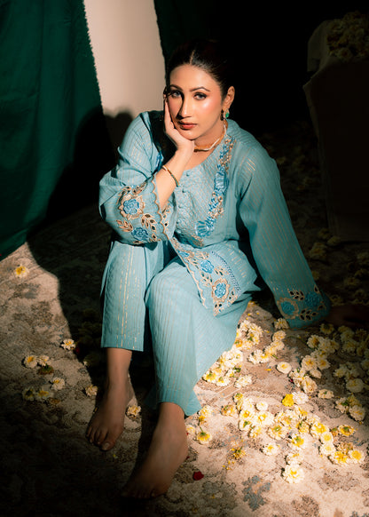 Aqua Zeenat – Embroidered Karandi Two-Piece